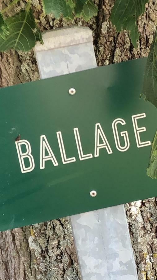 Le Gite De Ballage Chemille-Sur-Deme Zewnętrze zdjęcie