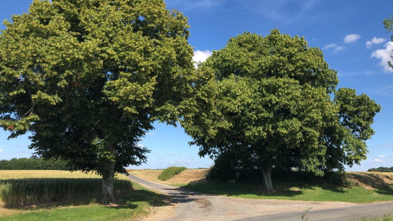 Le Gite De Ballage Chemille-Sur-Deme Zewnętrze zdjęcie